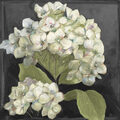 Image Not Available